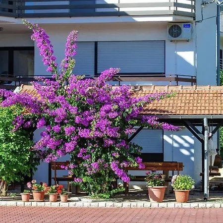 Διαμέρισμα One-bedroom In Zadar Ii Diklo